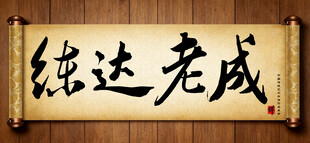 练达老成中国传统书法艺术毛笔字
