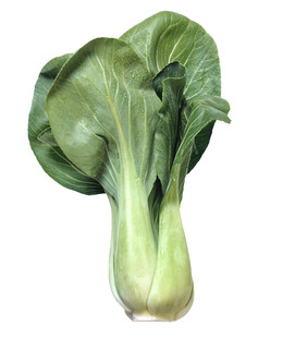 新鲜青菜