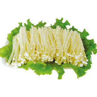 新鲜金针菇摆放在绿叶上