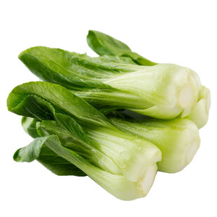 新鲜小白菜