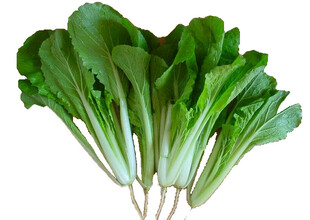 新鲜小白菜