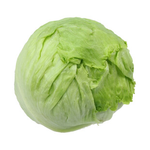 新鲜圆生菜