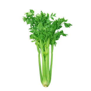 新鲜芹菜翠绿欲滴