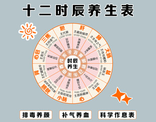 十二时辰养生表图示