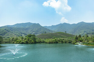 青山绿水间的宁静湖泊