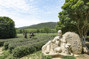茶园中的古朴雕塑景观