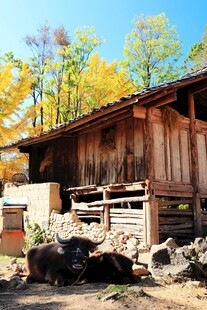 秋日乡村木屋风景