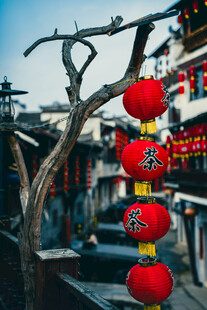 古巷枝头挂红灯笼