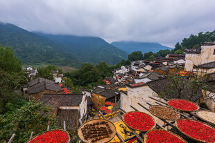 山村晒秋美景