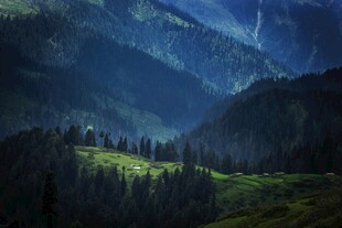 山间葱郁美景