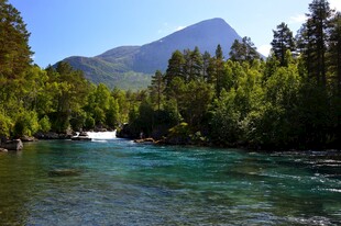 山间碧流葱郁林木与远山