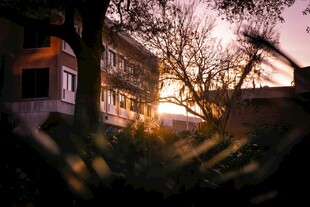 夕阳下的温馨