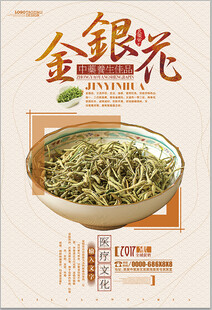 金银花茶 自然清新好滋味