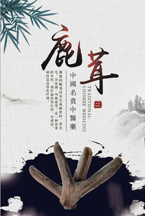 传统鹿茸展示图
