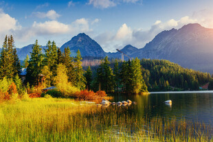 湖畔山林美景