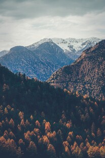 秋日山林间的壮丽山脉景色