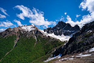 壮丽雪山与葱郁山林景观
