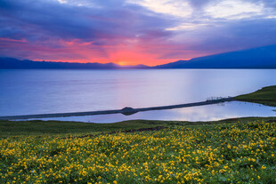 湖畔花海迎绚丽日落美景