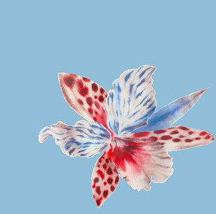 多彩斑点花朵特写