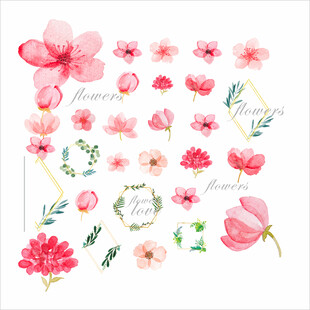 精美花卉