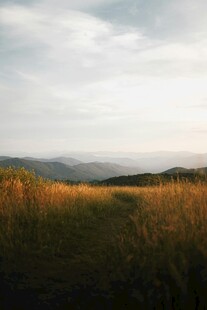 黄昏草原美景