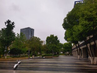雨后城市街道的静谧景象