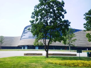 现代建筑旁的绿树与草坪