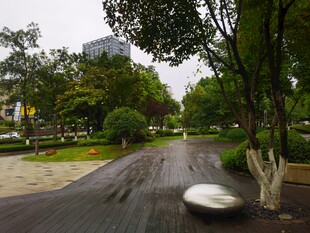 雨后林荫小道景观