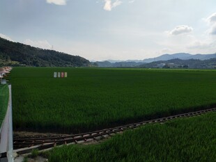田野铁轨旁的开阔风光