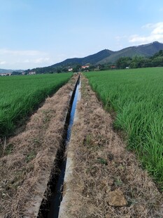 田野间的灌溉水渠