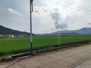 乡村田野间的宁静道路