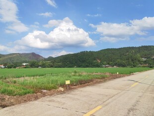 乡村公路边的自然风光