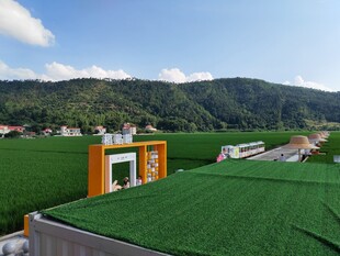 屋顶人造草坪景观