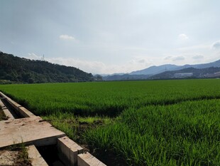 田园风光 