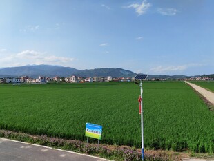 乡村田野风光 