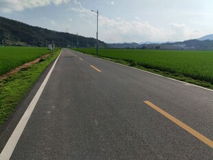乡间公路 绿意盎然的旅程