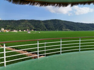 田园风光美景