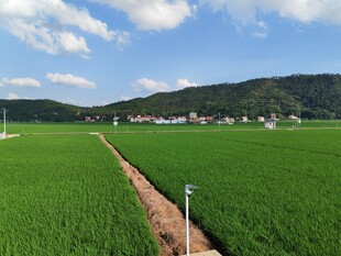 田园绿野风光