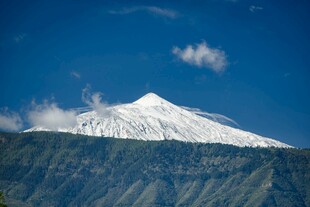 巍峨雪山下的葱郁山林