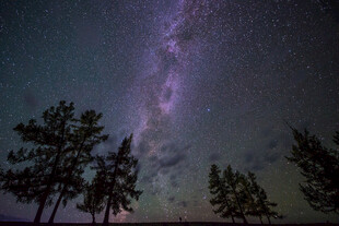 夜空下的璀璨星河与树木