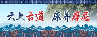 苗族海报