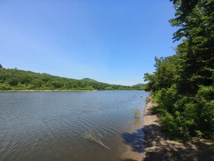 河畔自然风光美景
