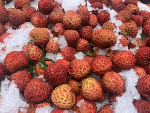 荔枝王