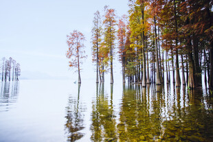 水上彩林自然梦幻之景