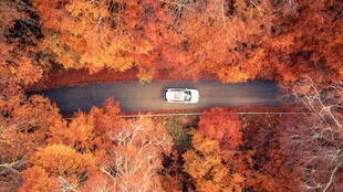 秋日公路上的独行车辆