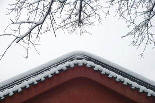 雪覆红瓦屋檐景