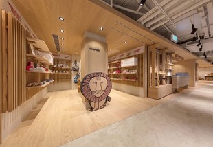 温馨木质风室内空间展示