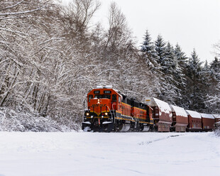冬日雪地中的货运列车