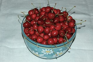 碗中鲜红饱满的樱桃
