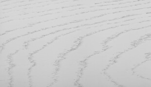 雪地上的优美纹理